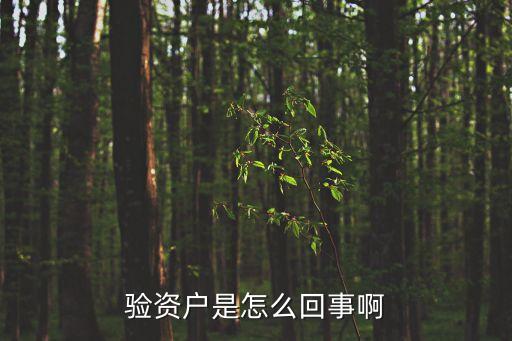 驗(yàn)資戶(hù)是怎么回事啊