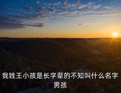 王長河，我姓王小孩是長字輩的不知叫什么名字男孩