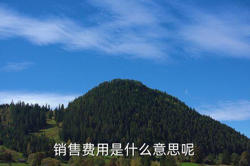 銷售費(fèi)用，銷售費(fèi)用包含哪些內(nèi)容
