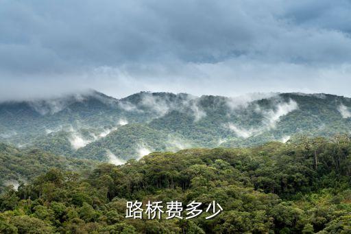 路橋費(fèi)，重慶路橋費(fèi)一年多少