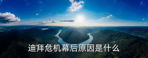 迪拜危機，什么是拜迪危機
