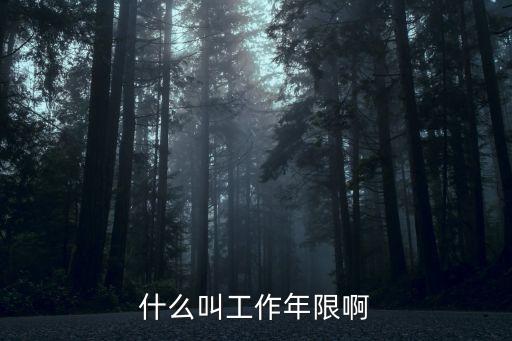 什么叫工作年限啊