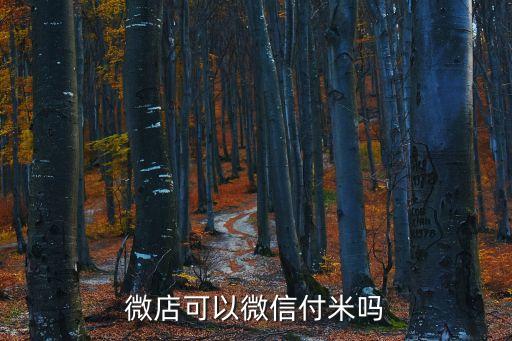 微店可以微信支付嗎，用微店賣東西可不可以只用微信支付