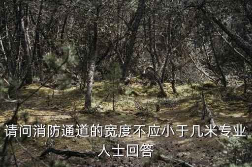 請(qǐng)問消防通道的寬度不應(yīng)小于幾米專業(yè)人士回答