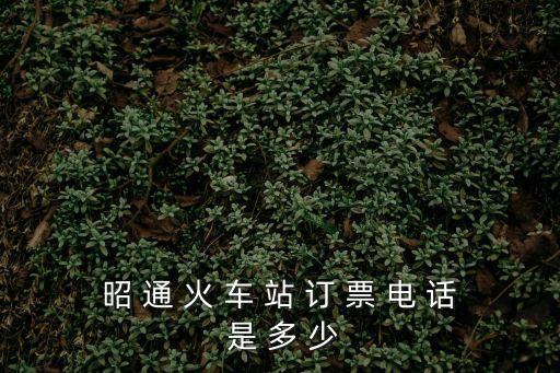 火車票電話訂票，昭 通 火 車 站 訂 票 電 話 是 多 少