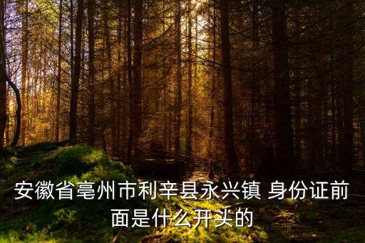 安徽省亳州市利辛縣永興鎮(zhèn) 身份證前面是什么開頭的