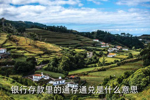 銀行存款里的通存通兌是什么意思