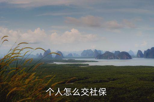 個人社保怎么交，個人繳納社保應(yīng)該如何交納