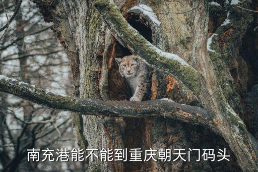 南充港能不能到重慶朝天門(mén)碼頭