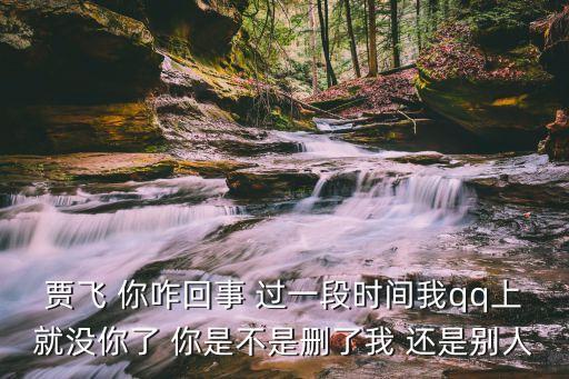 賈飛 你咋回事 過一段時(shí)間我qq上就沒你了 你是不是刪了我 還是別人