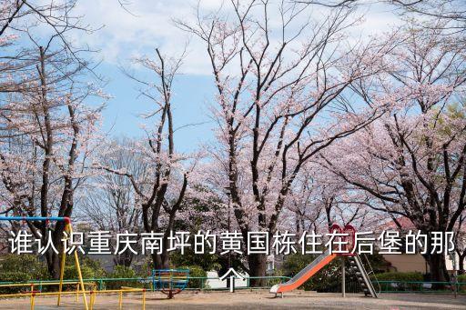 黃國(guó)棟，重慶沙坪壩區(qū)有名的老中醫(yī)