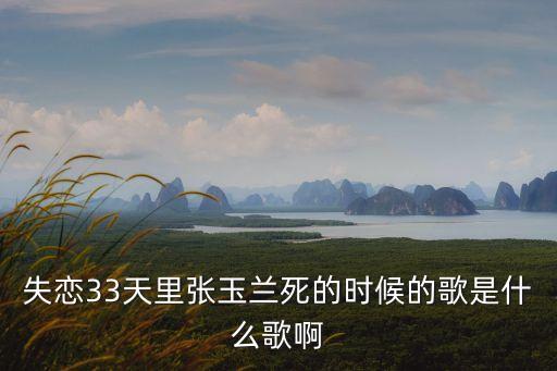 張玉蘭，失戀33天里張玉蘭死的時候的歌是什么歌啊
