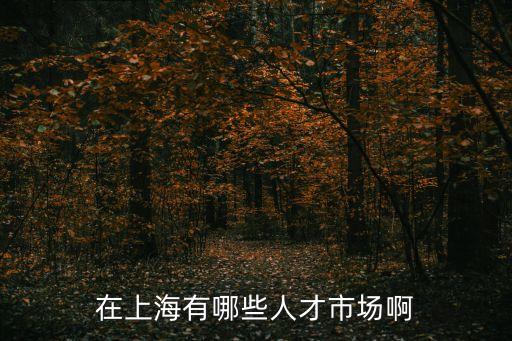 在上海有哪些人才市場啊