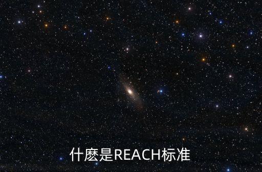 什麼是REACH標準