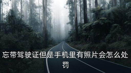 忘帶駕駛證但是手機(jī)里有照片會(huì)怎么處罰