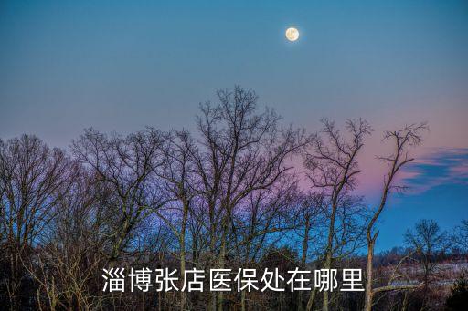 淄博醫(yī)保，淄博市醫(yī)保中心的地址在哪里