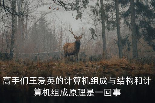 高手們王愛英的計(jì)算機(jī)組成與結(jié)構(gòu)和計(jì)算機(jī)組成原理是一回事