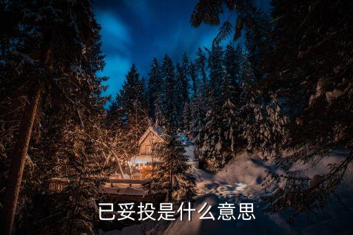 已妥投是什么意思