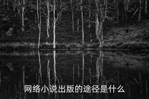 網(wǎng)絡(luò)小說出版的途徑是什么