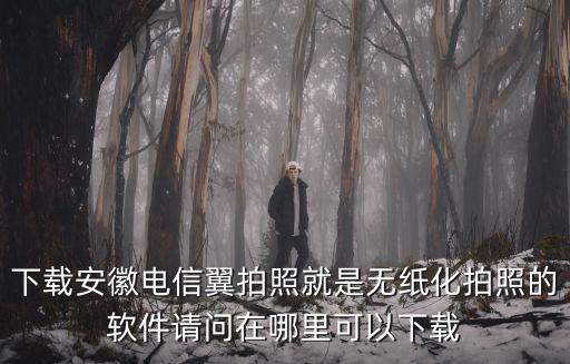 下載安徽電信翼拍照就是無(wú)紙化拍照的軟件請(qǐng)問(wèn)在哪里可以下載