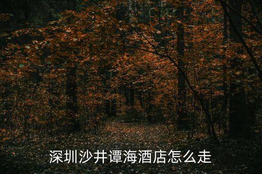 深圳沙井譚海酒店怎么走