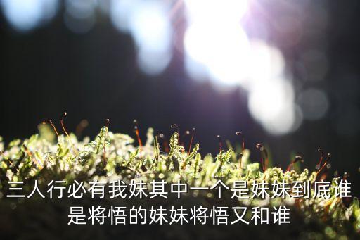 其中一個(gè)是妹妹，動漫其中一個(gè)是妹妹和小說一樣嗎