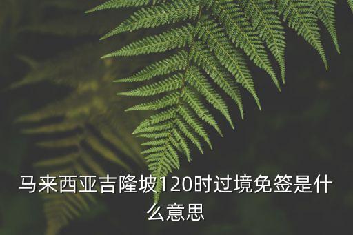 過境免簽，過境免簽是什么意思