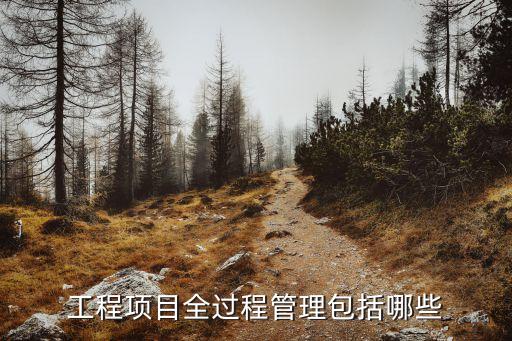 全過程項目管理，房地產(chǎn)開發(fā)全過程管理原理包括哪些