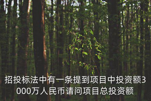 招投標(biāo)法中有一條提到項(xiàng)目中投資額3000萬人民幣請(qǐng)問項(xiàng)目總投資額