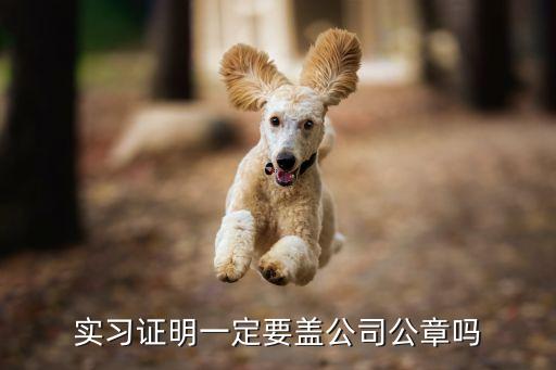 實(shí)習(xí)證明蓋章，實(shí)習(xí)報(bào)告蓋什么章
