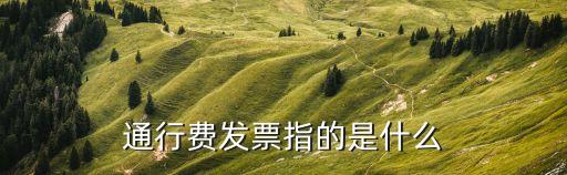 通行費(fèi)發(fā)票指的是什么