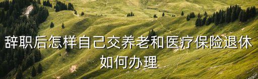 醫(yī)保退休辦理流程，如何辦理醫(yī)保退休手續(xù)