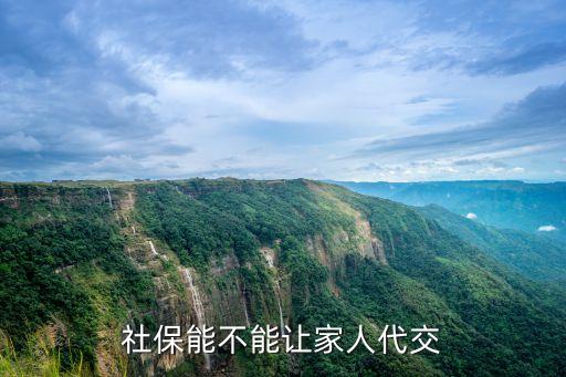 社保能不能讓家人代交