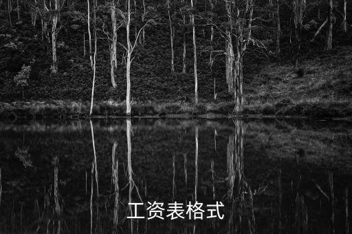 工資發(fā)放表模板，簡(jiǎn)單的員工工資表怎么做啊 格式是什么