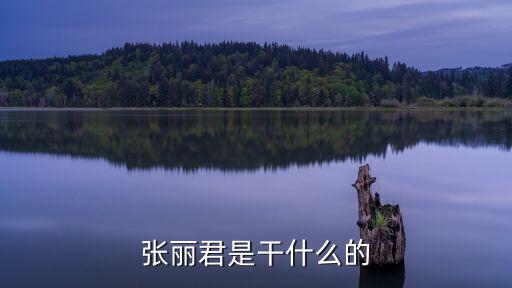 張麗君是干什么的