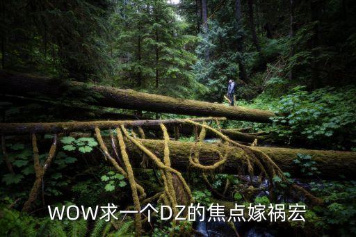 WOW求一個(gè)DZ的焦點(diǎn)嫁禍宏