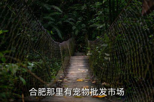 合肥那里有寵物批發(fā)市場