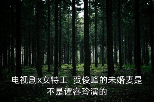 電視劇x女特工  賀俊峰的未婚妻是不是譚睿玲演的
