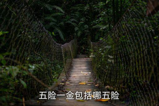 五險(xiǎn)一金包括哪五險(xiǎn)