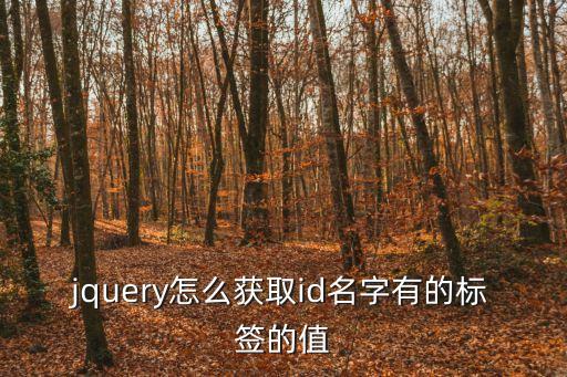 zzzccc，dnf復仇者zxc鍵怎么用