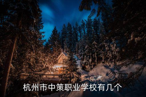 杭州市中策職業(yè)學(xué)校有幾個