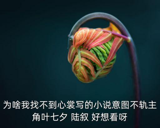為啥我找不到心裳寫的小說意圖不軌主角葉七夕 陸敘 好想看呀