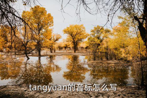 tangyuan，湯圓的拼音首字母是ty嗎