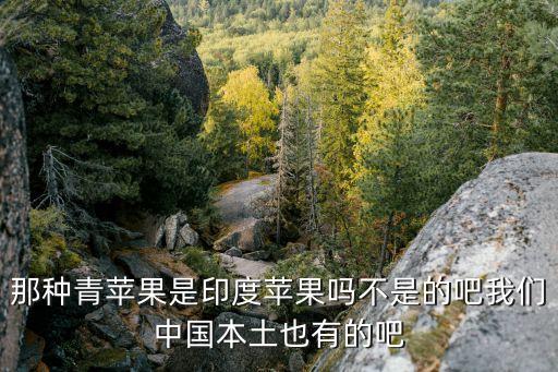 那種青蘋果是印度蘋果嗎不是的吧我們中國本土也有的吧