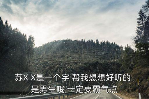 蘇X X是一個(gè)字 幫我想想好聽的 是男生哦 一定要霸氣點(diǎn)