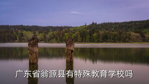廣東省翁源縣有特殊教育學(xué)校嗎