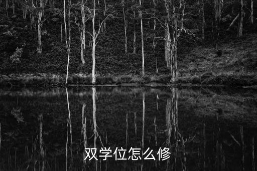 雙學位怎么修，雙學位怎么修