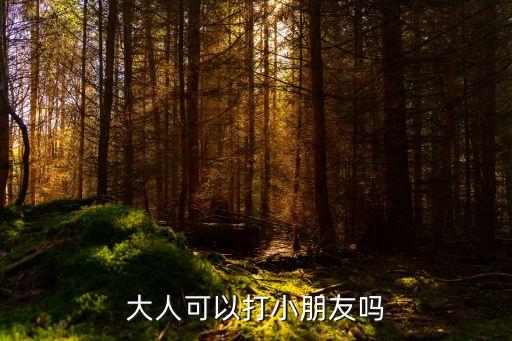 大人打小孩，大人可以打小朋友嗎