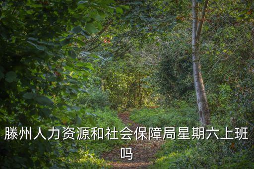 滕州人社局，怎么在滕州市人力資源和社會(huì)保障局查詢社保繳費(fèi)