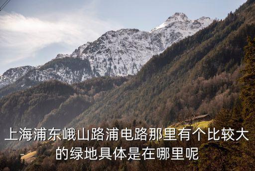 張家浜楔形綠地，上海市區(qū)哪里有自己燒烤的地方